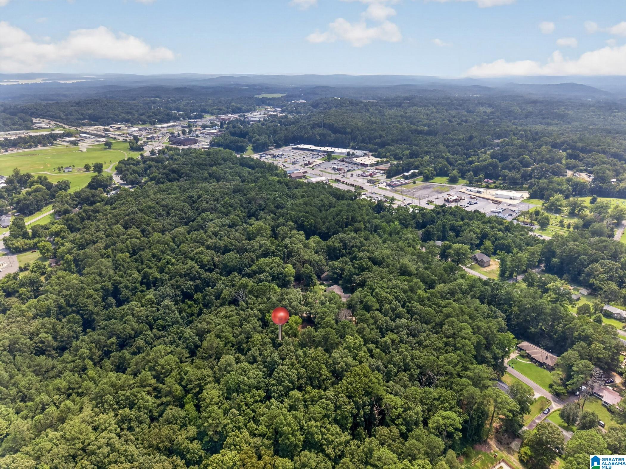 Land in PELL CITY 5