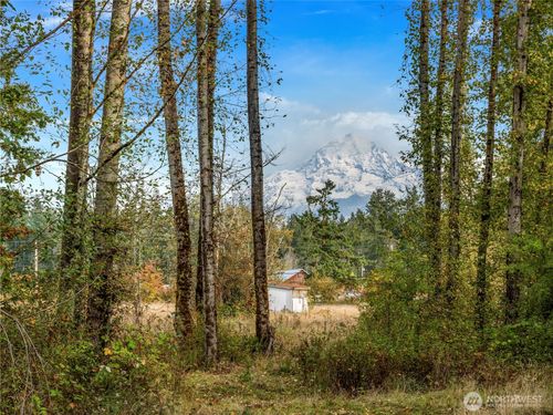 26202 110th Ave E, Graham, WA, 98338-8903 | Card Image