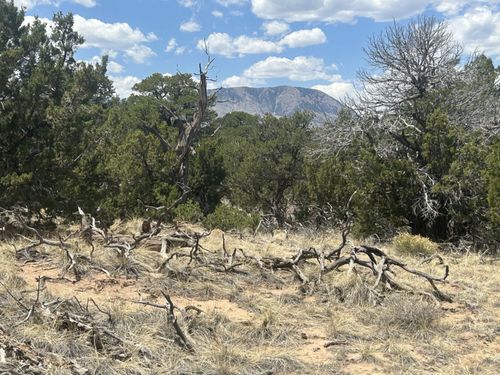 TBD County Road 530, Walsenburg, CO, 81089 | Card Image