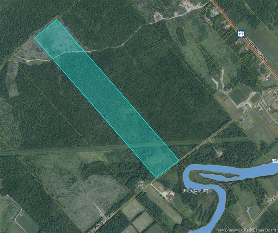 Land in Black River Bridge