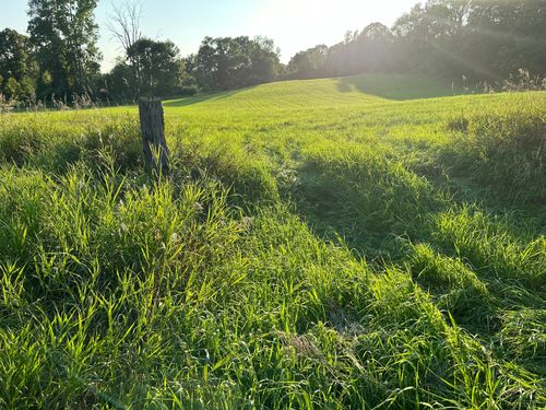 VL Denton Hill (Lot 7) Road, Tyrone Township, MI, 48430 | Card Image