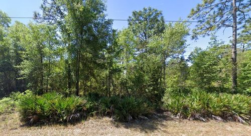 7350 W Village Dr, HOMOSASSA, FL, 34446-2158 | Card Image