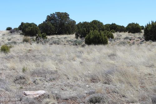 80 County Road 8620, Concho, AZ, 85924 | Card Image
