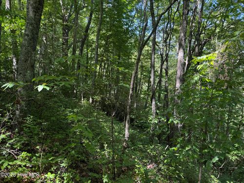 Lot 2 Amber Lane, Topton, NC, 28781 | Card Image