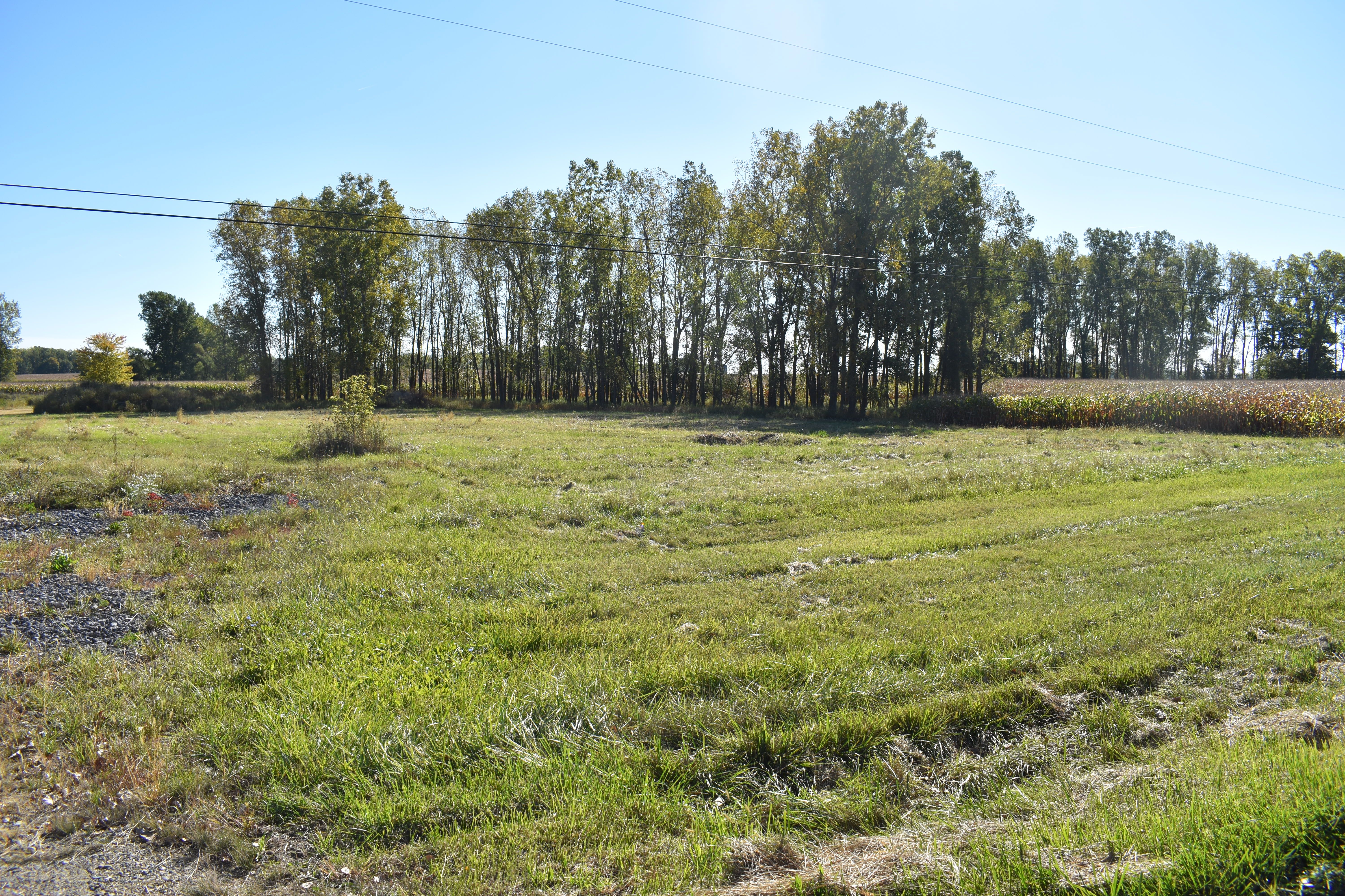 M 52 , Williamston, MI 48895