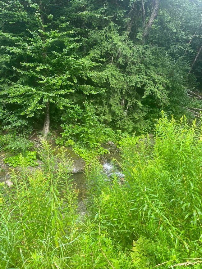 603 Corporation Rd, House other with 2 bedrooms, 0 bathrooms and null parking in Rochester VT | Image 20