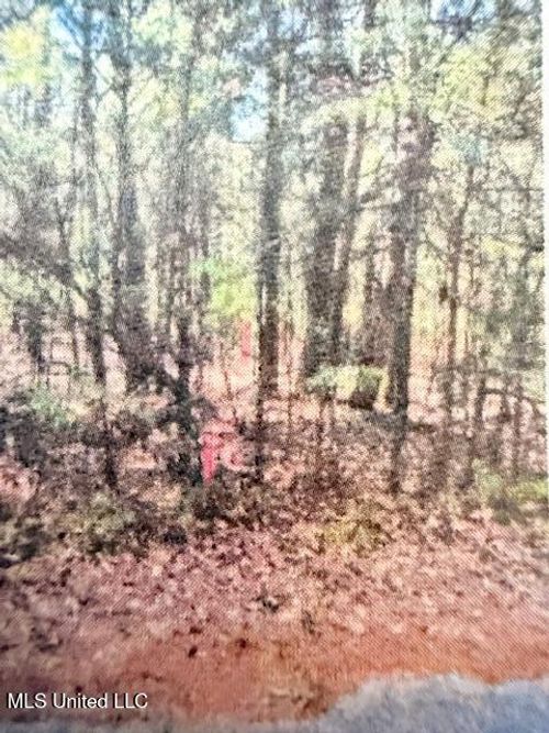 0 Hardy Road, Madison, MS, 39110 | Card Image