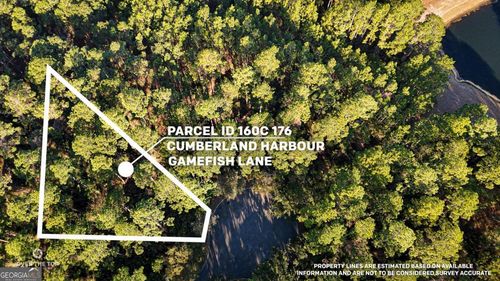 V/L 176 Gamefish Lane, St. Marys, GA, 31558 | Card Image