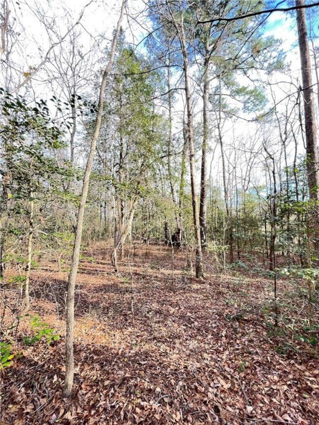 00 New Bridge Rd, Home with 0 bedrooms, 0 bathrooms and null parking in Mc Coll SC | Image 26