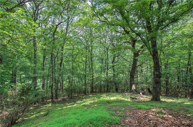 222 Mulligan Way, House other with 3 bedrooms, 3 bathrooms and null parking in Jasper GA | Image 43