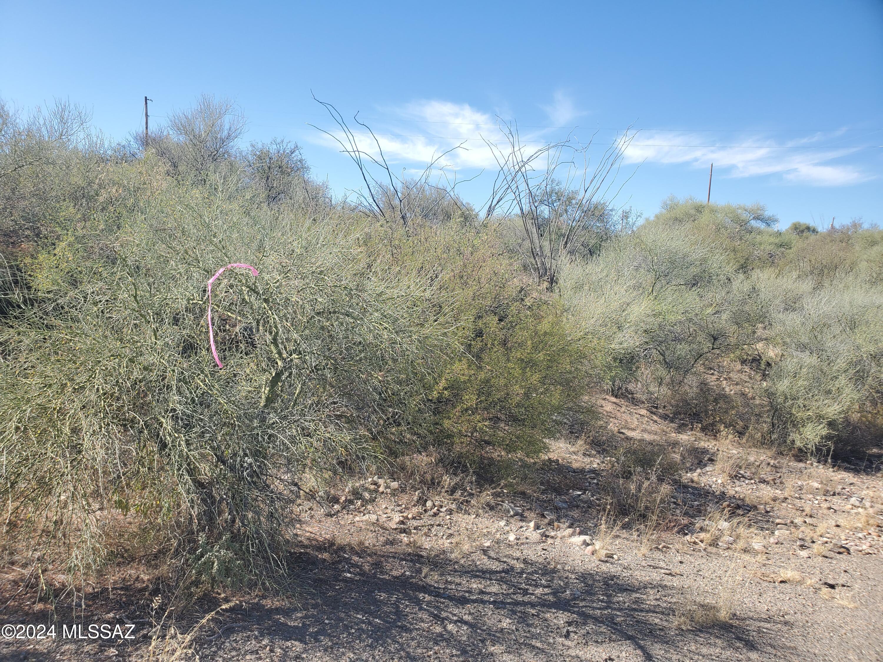 Land in Rio Rico 2