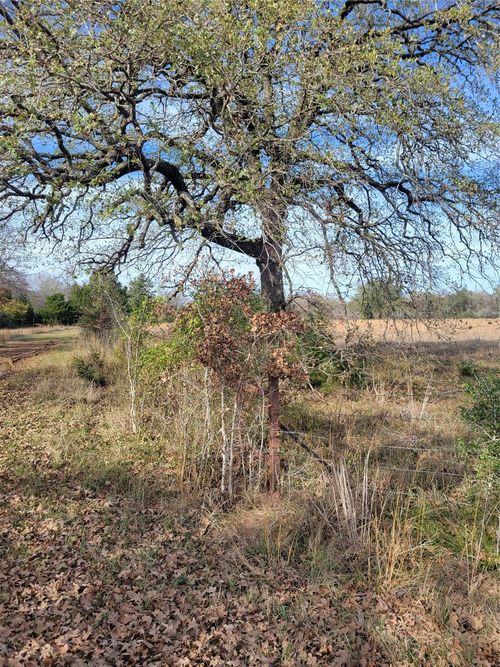 1 Navarro Lane, Grapeland, TX, 75855 | Card Image