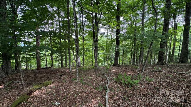 530 El Miner Dr, Home with 0 bedrooms, 0 bathrooms and null parking in Mars Hill NC | Image 7
