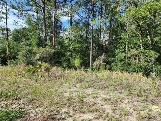11107 Mataro Ave, Home with 0 bedrooms, 0 bathrooms and null parking in Citrus Springs FL | Image 6