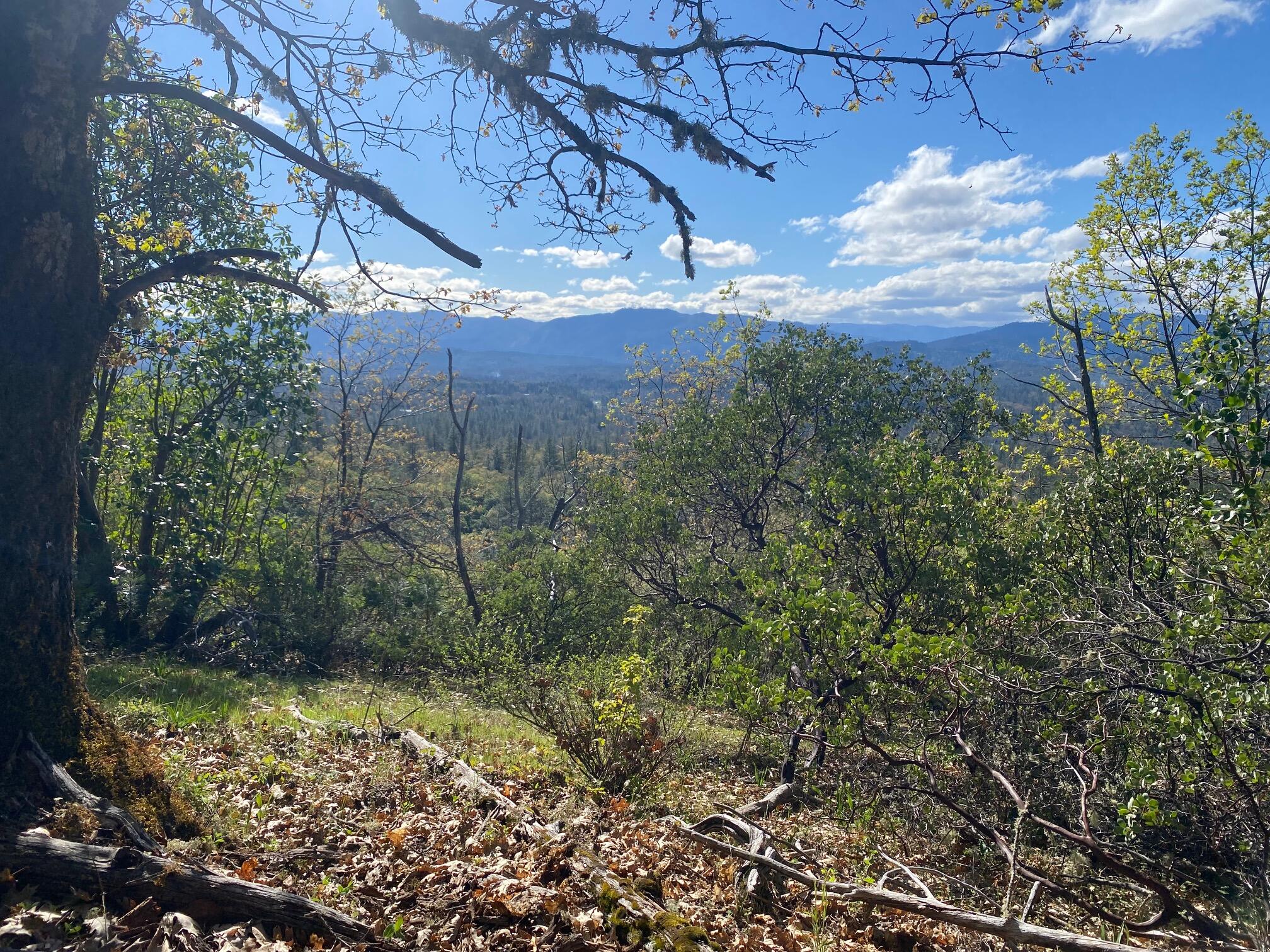 Land in Grants Pass 5