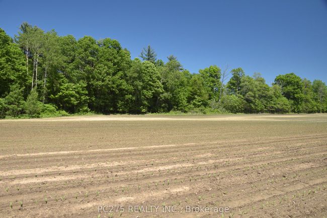 54067 Mcquiggan Line, Home with 0 bedrooms, 0 bathrooms and null parking in Bayham ON | Image 13
