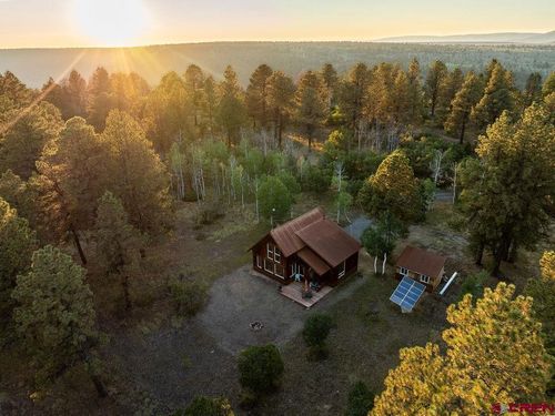 150 W Piney Woods Way, Placerville, CO, 81430 | Card Image