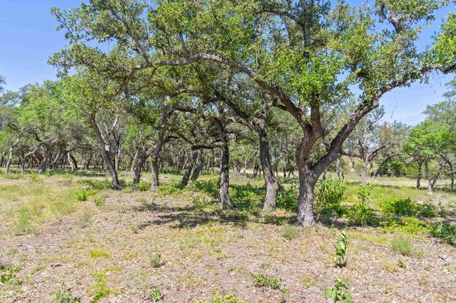 TRACT 12 Lew Dele Lane, Home with 0 bedrooms, 0 bathrooms and null parking in Blanco TX | Image 11