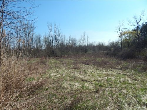 3918 Alene Corners Rd, Canastota, NY, 13032 | Card Image