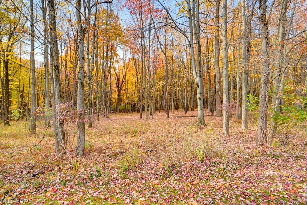 Land in Chagrin Falls 3