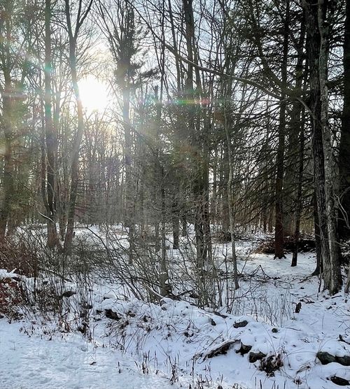 6 Colebrook River Rd, Tolland, MA, 01034-9586 | Card Image