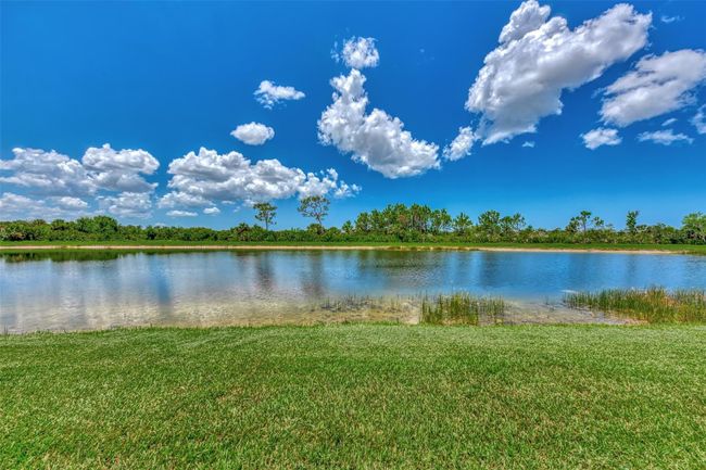 10546 Medjool Drive, House other with 4 bedrooms, 3 bathrooms and null parking in VENICE FL | Image 47