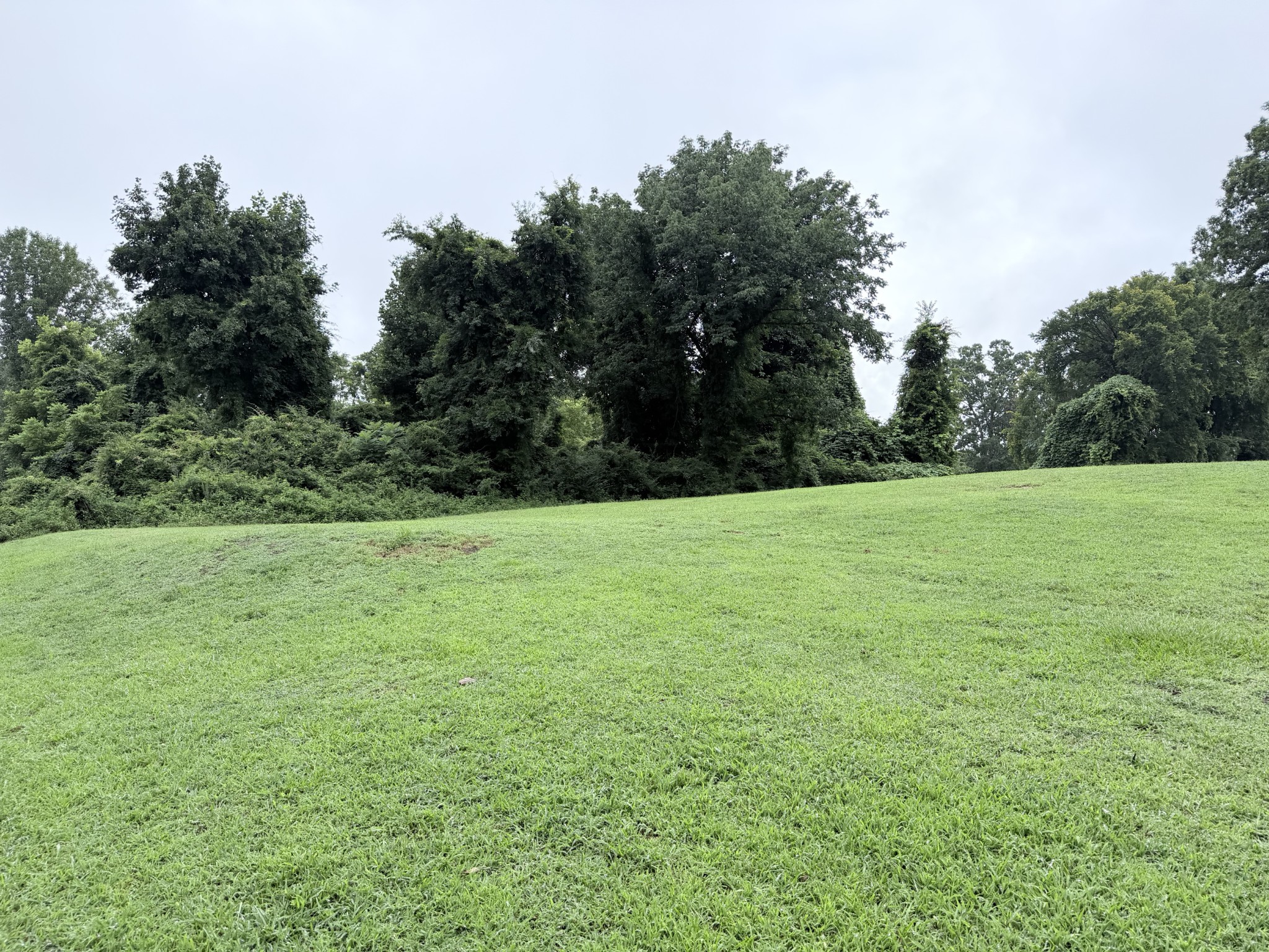 Land in Monteagle 4
