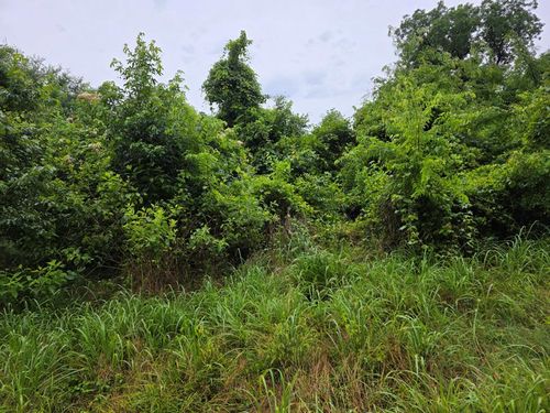 TBD An County Road 3471, Palestine, TX, 75803 | Card Image