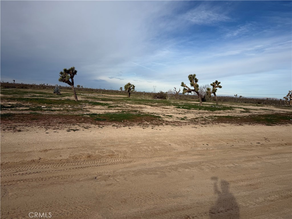 Land in Phelan 2