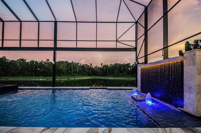 29038 Picana Ln, House other with 4 bedrooms, 4 bathrooms and null parking in WESLEY CHAPEL FL | Image 73