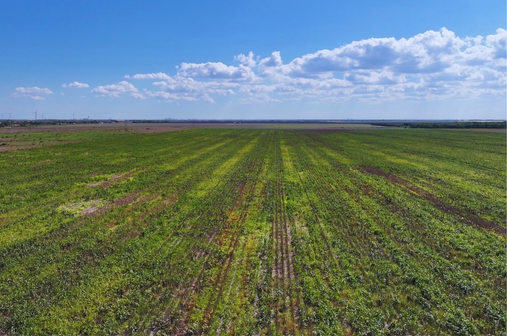 Land in Odem 5