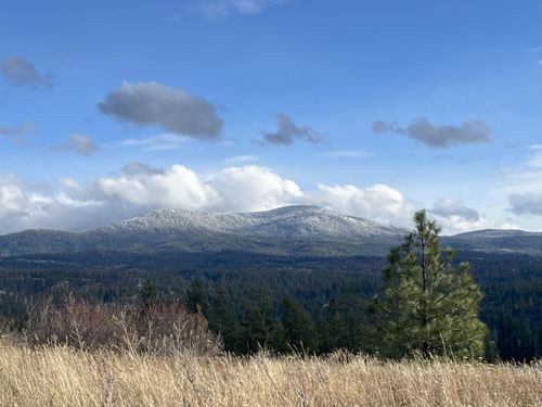 100XX E Chinook Ln, Chattaroy, WA, 99003 | Card Image