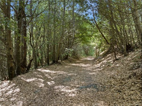 63 Binet Rd, Clipper Mills, CA, 95930 | Card Image