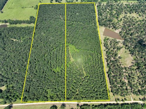 1 Fodice 2 Rd, Groveton, TX, 75845 | Card Image