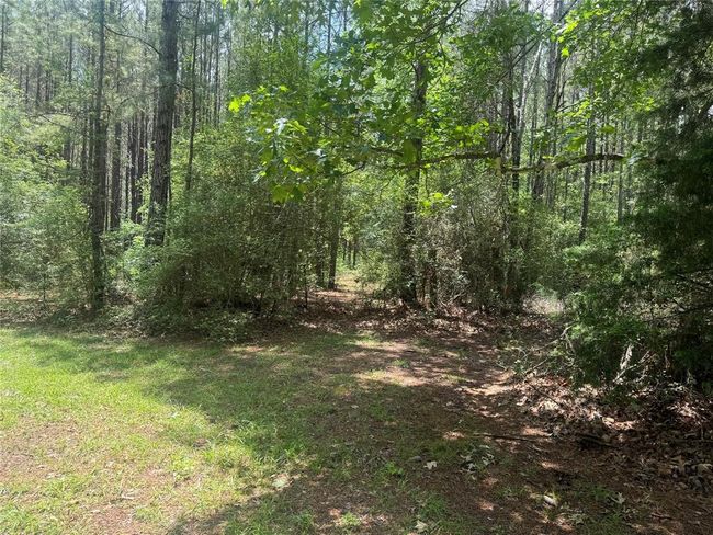 4891 Sunflower Rd, Home with 1 bedrooms, 1 bathrooms and 1 parking in Livingston TX | Image 18