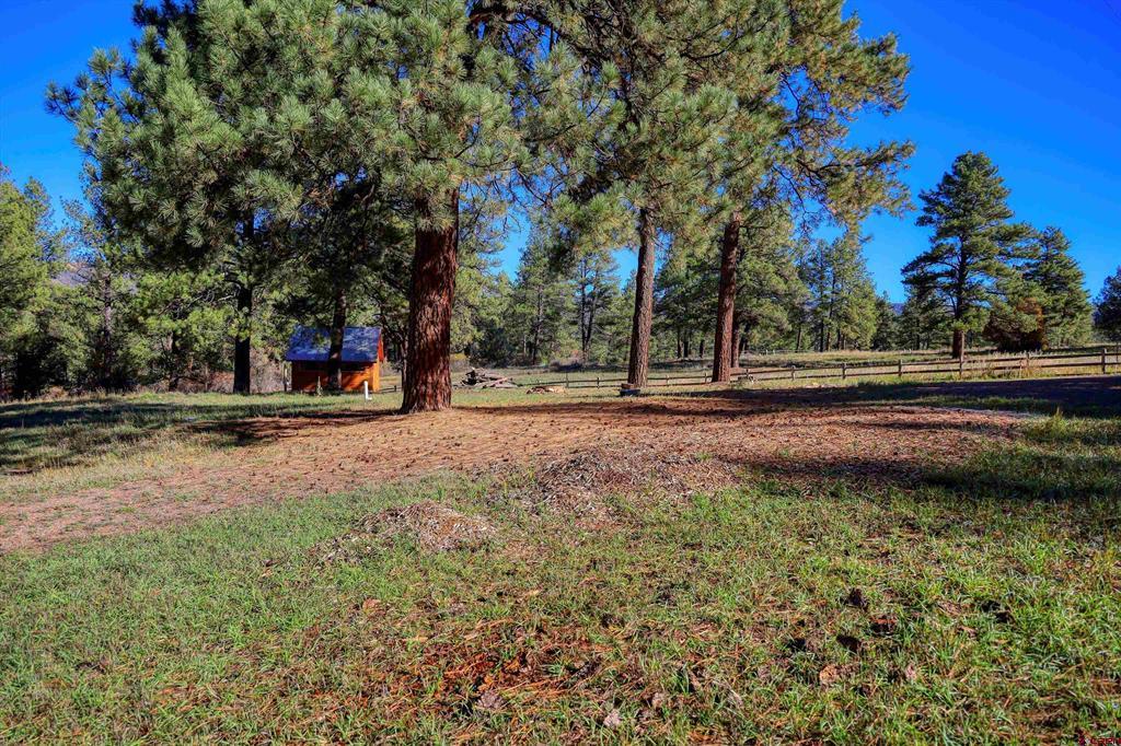 Land in Pagosa Springs 5