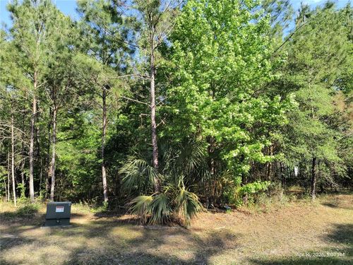 TBD Ne 141st Ave, Williston, FL, 32696 | Card Image