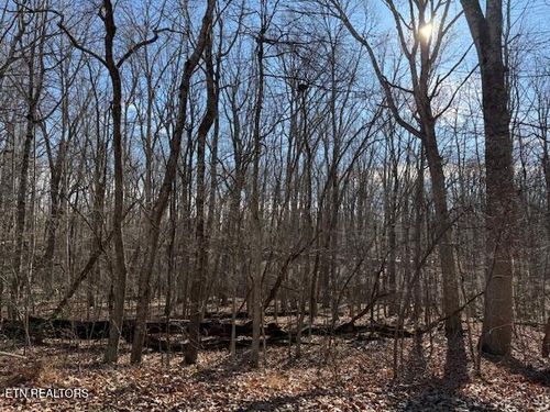 113 Overlook Cove, Crossville, TN, 38558 | Card Image