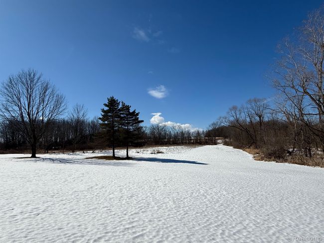 0 Dean Rd, Home with 0 bedrooms, 0 bathrooms and null parking in Brown City MI | Image 4