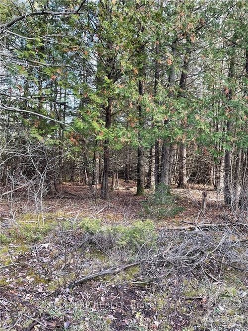 PT LT 22 Con 12 Ramsay Road, Mississippi Mills, ON, K0A1A0 | Card Image