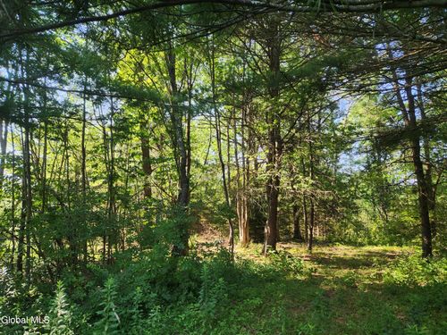 4 Skyline Dr, Delanson, NY, 12053 | Card Image