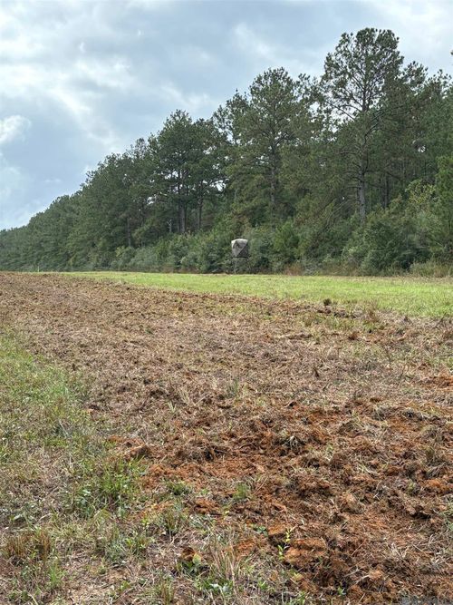 TBD Aunt Margies Rd, Greensburg, LA, 70441 | Card Image