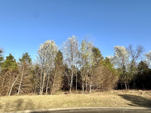 Lot 3 Mack Road, Nixa, MO, 65714 | Card Image