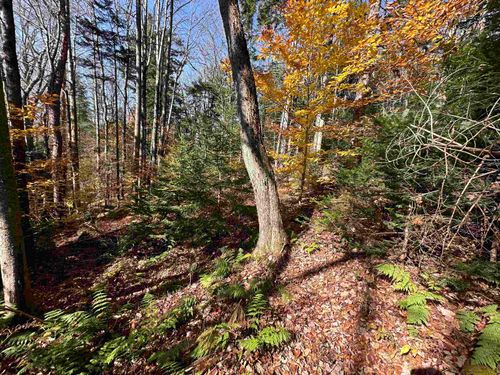 00 Lawrence Davis Dr, Wilmington, VT, 05363 | Card Image