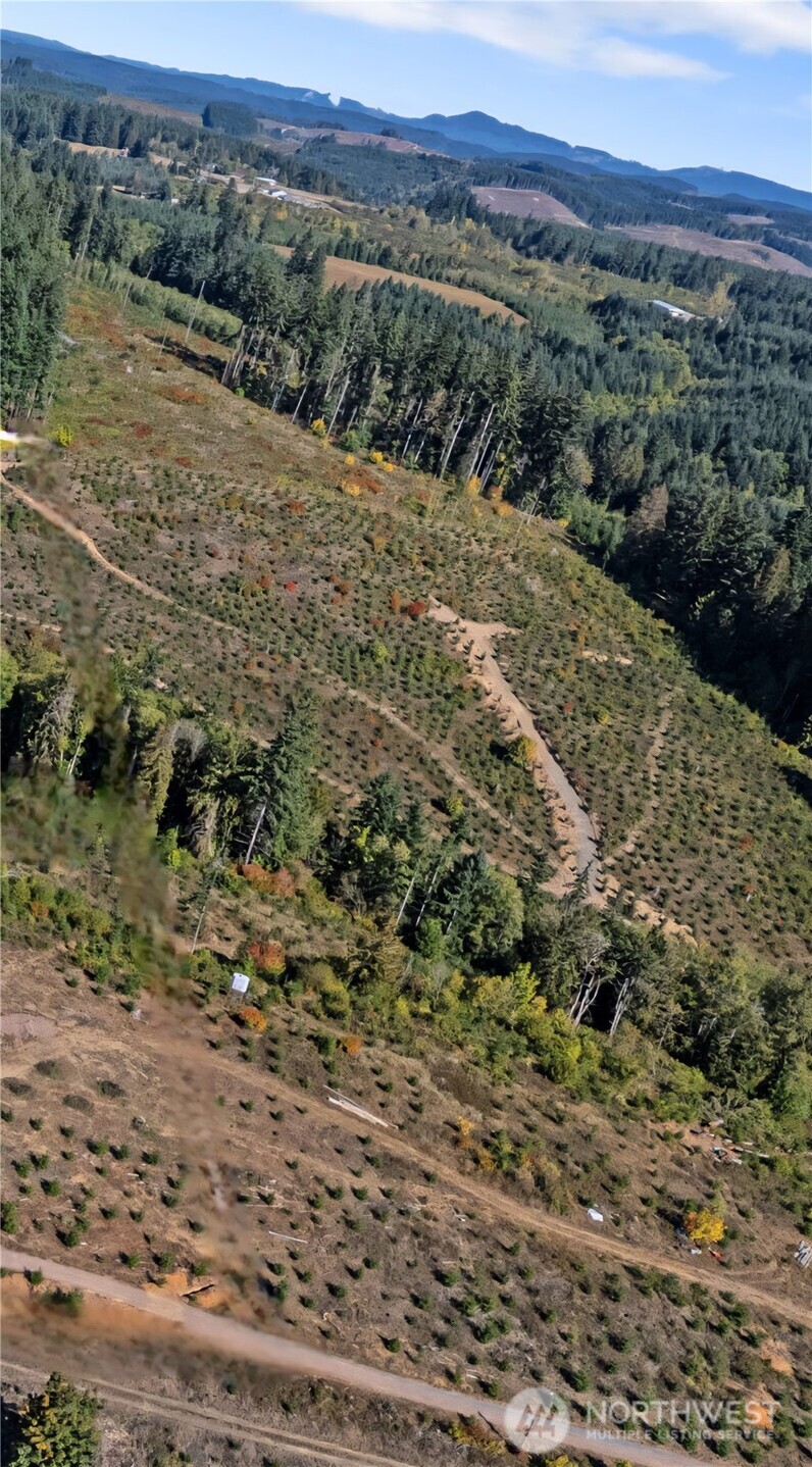 Land in Chehalis 5