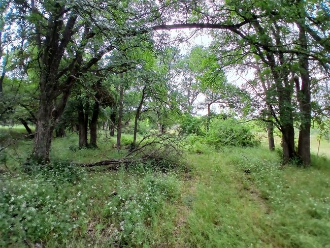 8112 Fm 2114, Home with 0 bedrooms, 0 bathrooms and null parking in Hubbard TX | Image 21