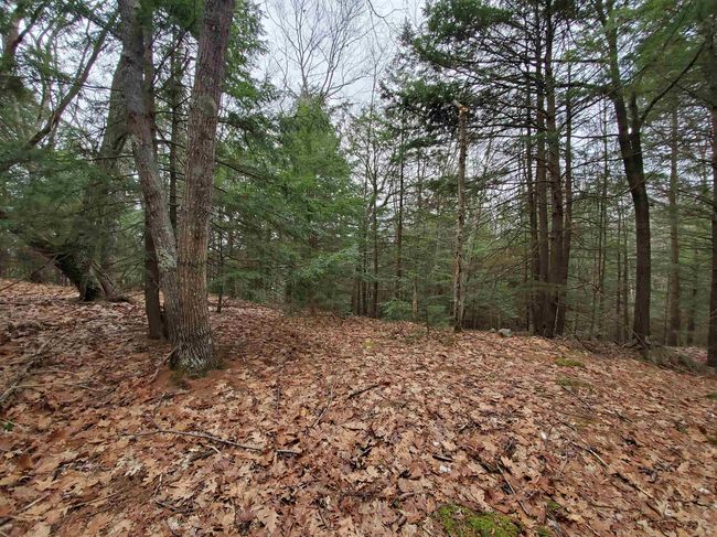 00 Berry Farms Rd, Home with 0 bedrooms, 0 bathrooms and null parking in Bristol NH | Image 22