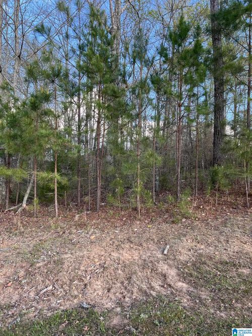 72-80 Preserve Way, SPRINGVILLE, AL, 35146 | Card Image