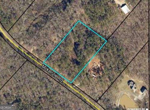 0 Birch St, Milner, GA, 30257 | Card Image