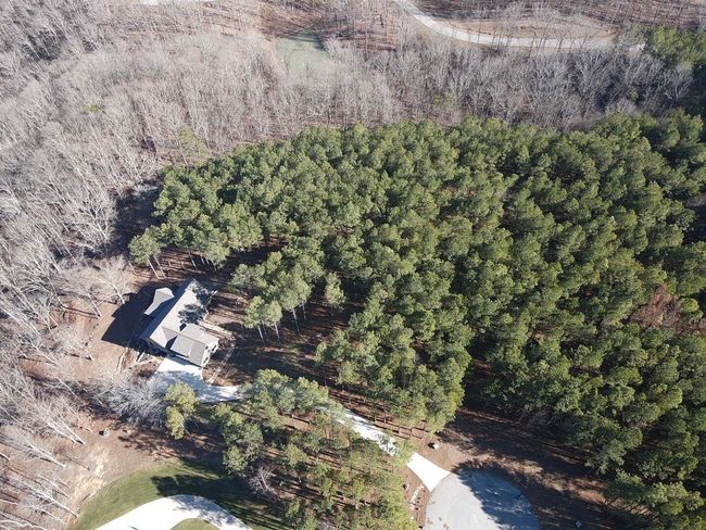 80 High Point Ln, Home with 0 bedrooms, 0 bathrooms and null parking in Jasper TN | Image 162